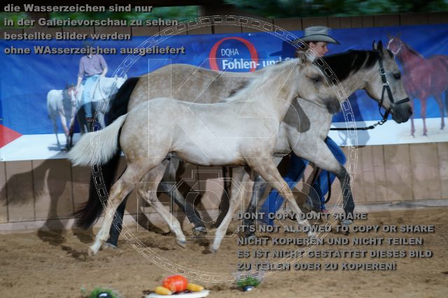 s_K3F04862.JPG